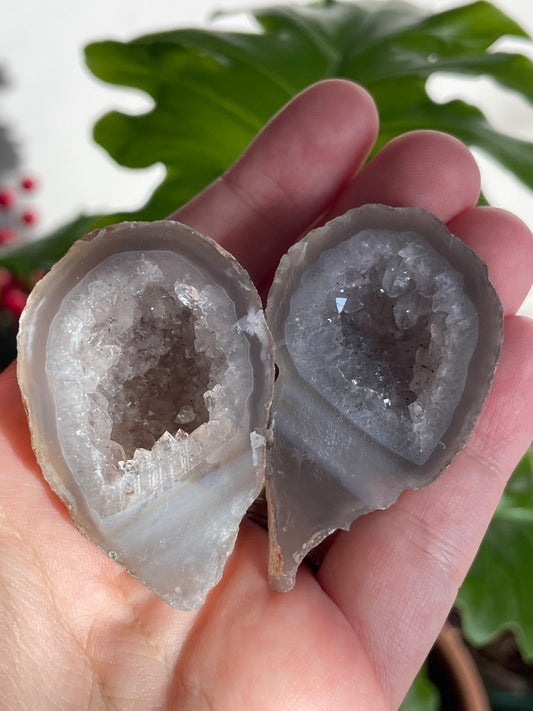 Oco Geode Matching Pair M