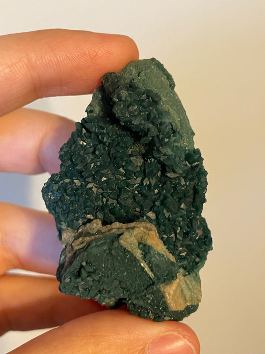 Marshy Apophyllite With Celadonite (Rare Find) From India G