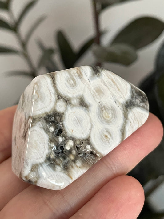 Sea Jasper Small Freeform A