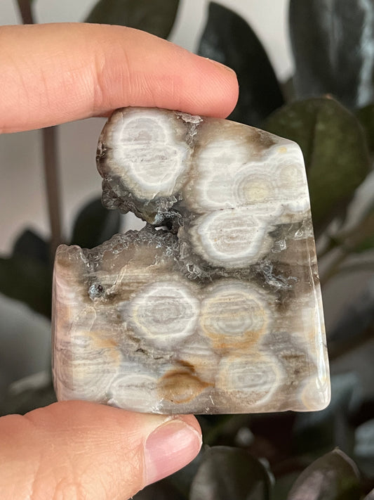 Sea Jasper Small Freeform C