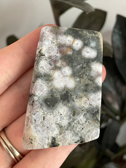Sea Jasper Small Freeform B